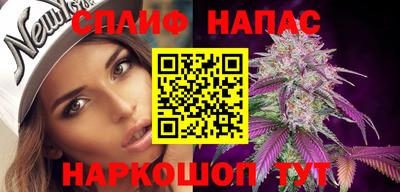 крисы Сланцы
