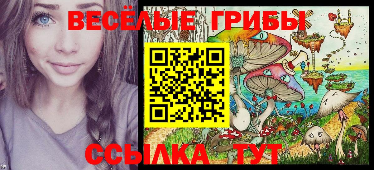 Галлюциногенные грибы Psilocybine cubensis Обнинск